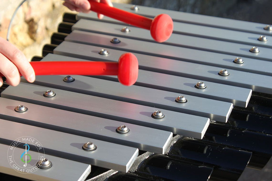 Percussion Play Cadenza (Outdoor Xylophone)