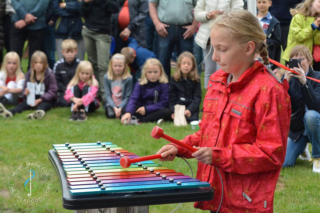 Percussion Play Capella (Outdoor Xylophone)