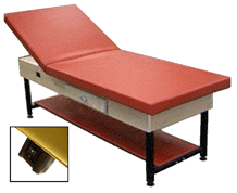 Bailey Economy Hi-Lo Electric Treatment Adjustable Table (Model 4250) - Therastock
